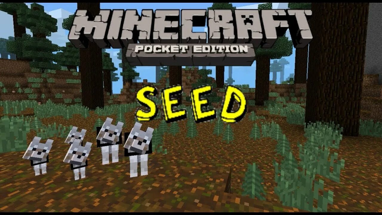 Seed 0