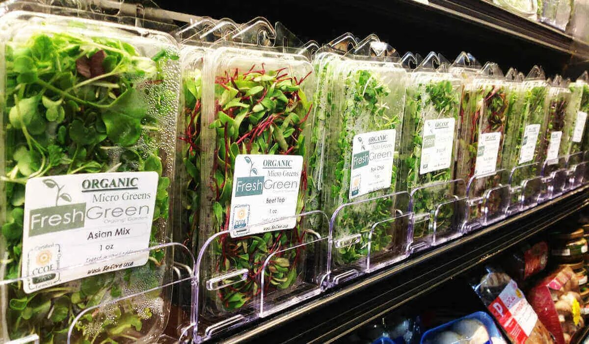 Микро продажи. Micro Green микрозелень. Ферма микрозелень (microgreens).. Микрозелень в Сан Франциско. Микрозелень Самбери.