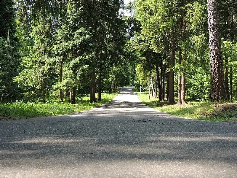 подмосковье ильинский санаторий. ок рублево. рублевка коттеджный поселок. ок рублево. дом отдыха лесной.