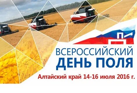 День поля пол