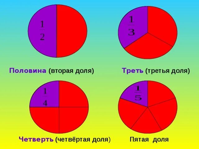 Примерно половина это сколько. Доли половина треть. Доли (половина, треть, четверть, десятая, сотая.) Образование долей.. Половина треть четверть. Доли.(половина, треть, четверть, десятая, сотая).