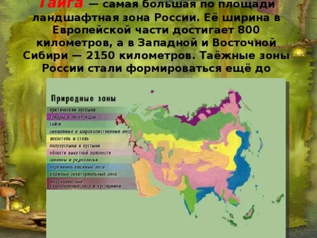 Природные зоны Восточной Сибири карта. Тайга самая большая по площади Ландшафтная зона России. Природные зоны Западной и Восточной Сибири. Природные зоны Восточно сибирской тайги.
