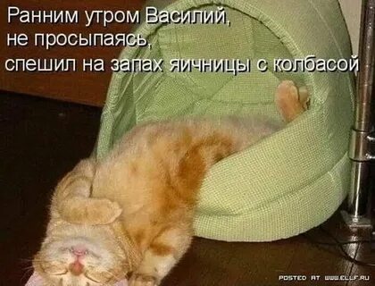 Вставай мала