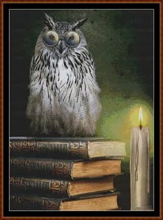 Книга филинов