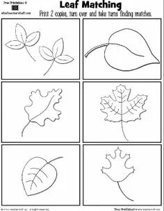 Leaves worksheets