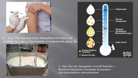 Луи пастер технология пастеризации