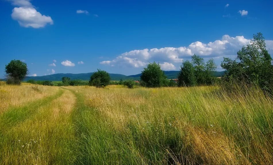 Летний зной. Летний день. Лето фото. Лето в деревне.