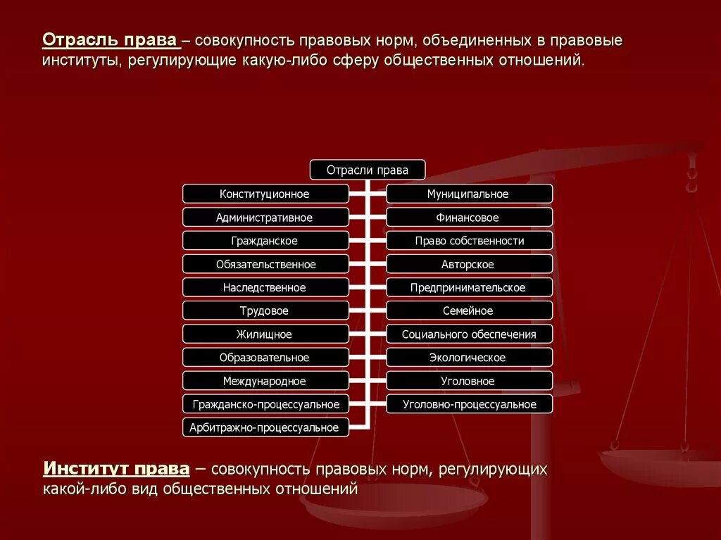 Норма институт отрасль подотрасль.