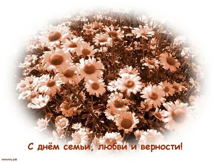 С днем семьи любви слова