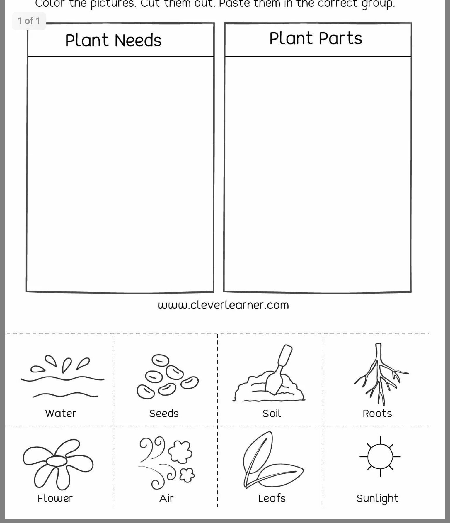 Flower exercise. Plants Worksheets. Plants растения Worksheets for Kids. Цветы по английски задания. Flowers Worksheet for Kids.