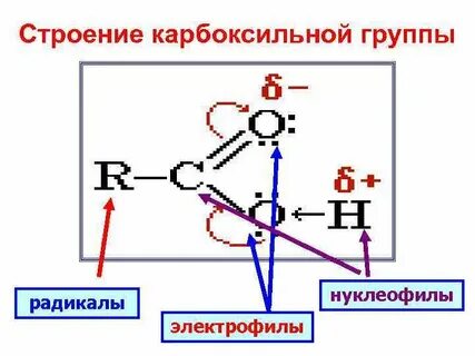 Дайте определение радикалам нуклеофилам и электрофилам