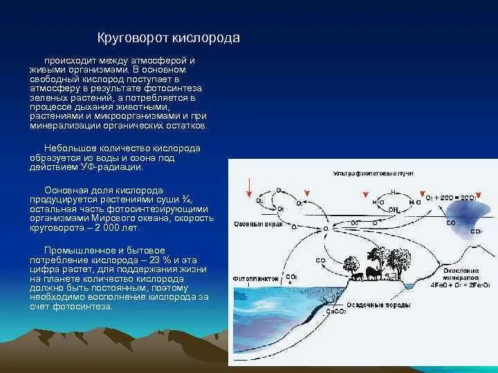 Круговорот кислорода процессы. Биохимический круговорот кислорода. Общая схема круговорота кислорода в природе. Круговорот o2 в природе. Круговорот кислорода кратко биология.