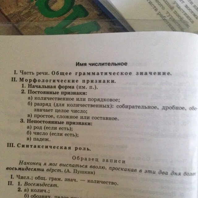 Морфологический разбор числительного 6 класс. Числительное морфологический разбор. План морфологического разбора имени числительного. Имя числительное морфологический разбор. Морфологический разбор имени числительного сорок