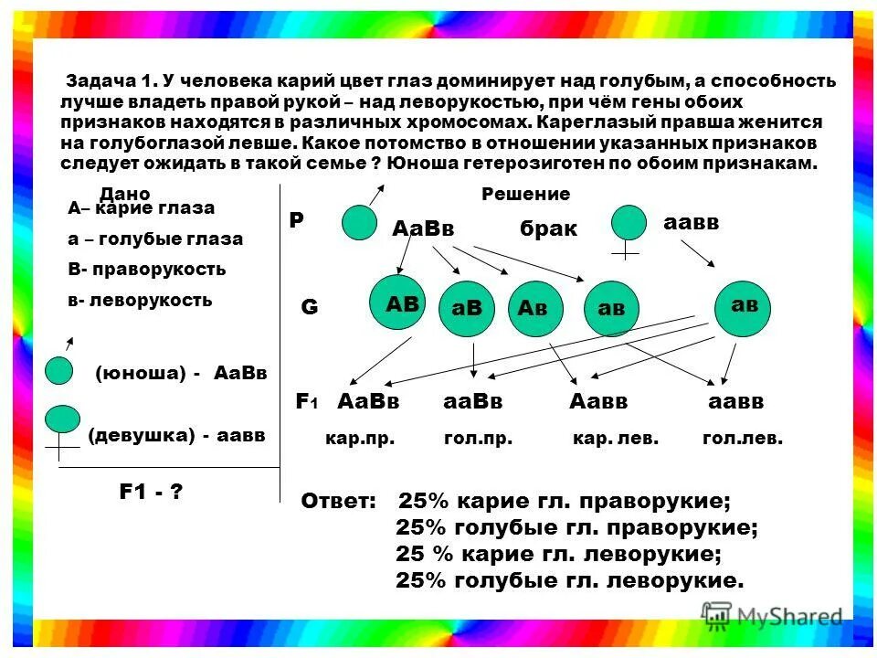 Процент рождения глаз