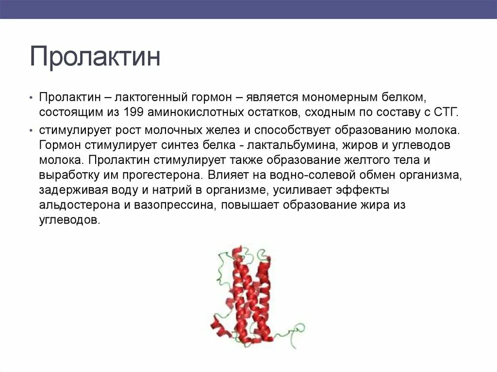 Пролактин вызывает. Пролактин функции гормона. Пролактин характеристика. Вырабатывается пролактин какими клетками. Гормон пролактин у женщин.