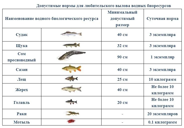 С какого числа начинается нерест