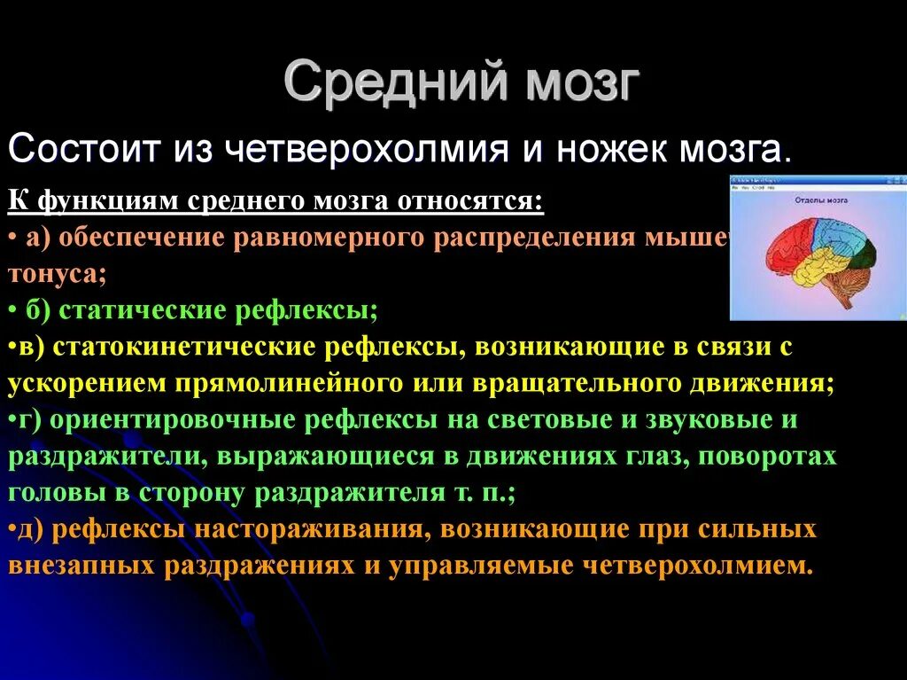 Какие рефлексы обеспечивает головной мозг. Статические рефлексы среднего мозга. Рефлексы четверохолмия среднего мозга. Рефлекс настораживания средний мозг. Ориентировочный рефлекс четверохолмия.