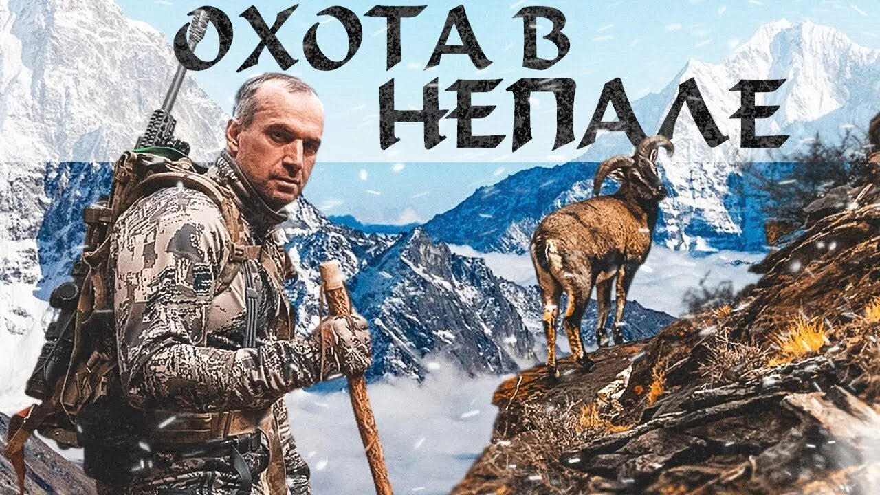 Горная охота с сергеем мазуркевичем. Горная охота с сергеем мазуркевичем. Охота на дагестанского тура. Мазуркевич охота. Охота с сергеем мазуркевичем.