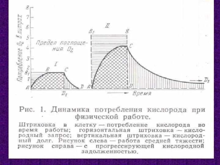 При физических нагрузках потребление кислорода. Динамика потребления кислорода при физической работе. потребление кислорода при работе. потребление кислорода при физической нагрузке. динамика потребления кислорода при динамической работе.