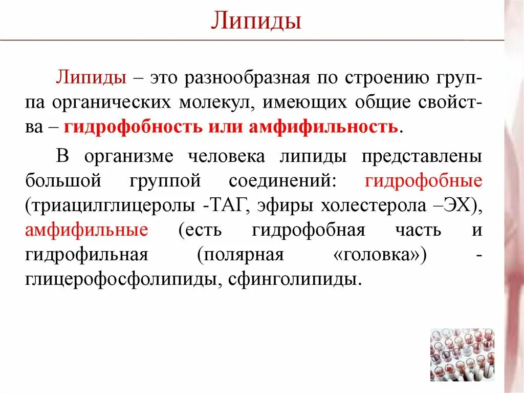 Имеющий содержащий. Липиды. Липиды это. Амфифильные липиды. Липиды определение.