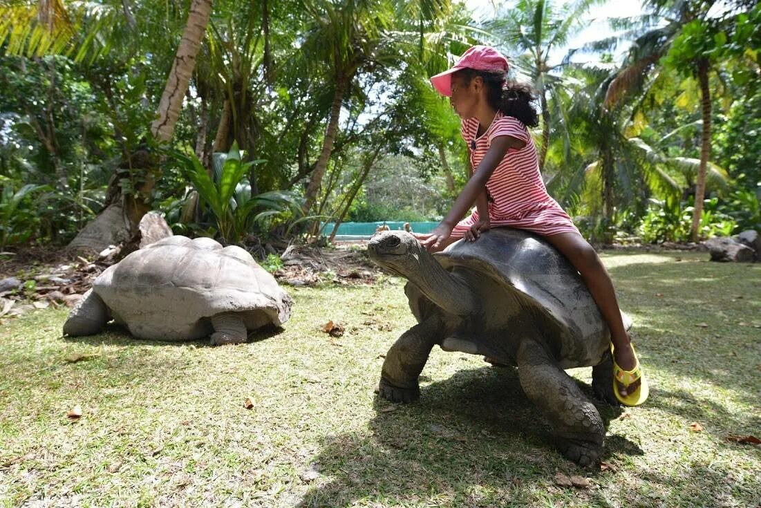 Sightseeing in the Seychelles what to see, the most beautiful places, excursio