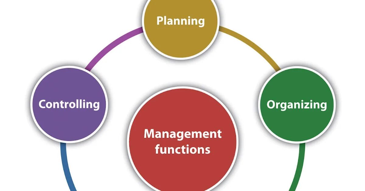 What should the main. Management functions. Контроллинг. Functions in Management. Функции Healthcare Management.