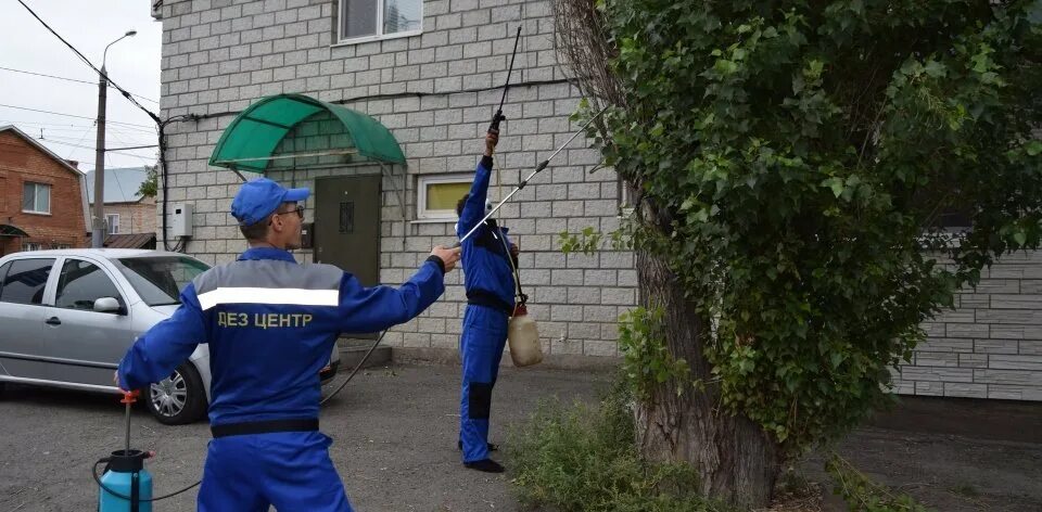 Дез барнаул. ДЕЗ центр Комсомольская. ДЕЗ центр Комсомольская 242 Оренбург магазин. Комсомольская 240 Оренбург Дезцентр. Дезцентр Оренбург.