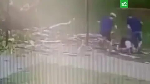 Показал 13 летнюю девочку
