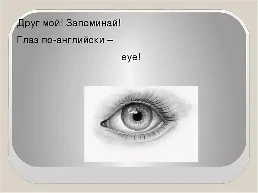Глаз как переводится. Глаза по английски. Как по английскому глаза. Как будут глаза на английском. Глаз по английски перевод.