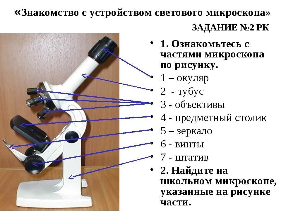 Строение микроскопа и функции его частей. Микроскоп строение микроскопа. Части микроскопа биология 5 класс. Части микроскопа биология 5 класс цифрового микроскопа части. Схема светового микроскопа.