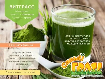 Витграсс отзывы
