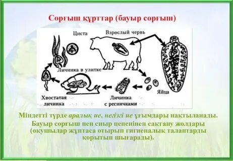 Русское порно: мас қыздар туалетте ебля