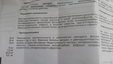 Канефрон отзывы беременных