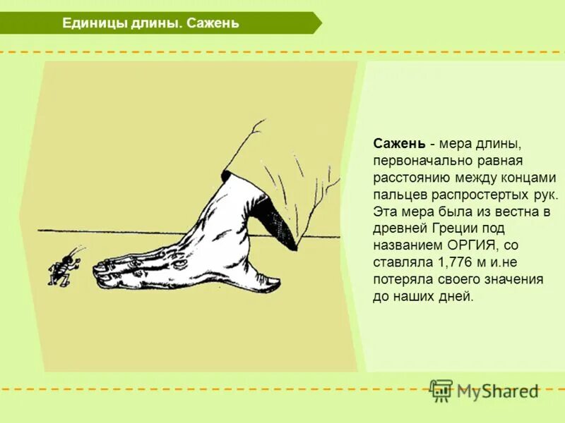 древнегреческая стадия. греческие меры веса. старинные меры веса. математический кроссворд 5 класс с ответами. кроссворд по старым словам.