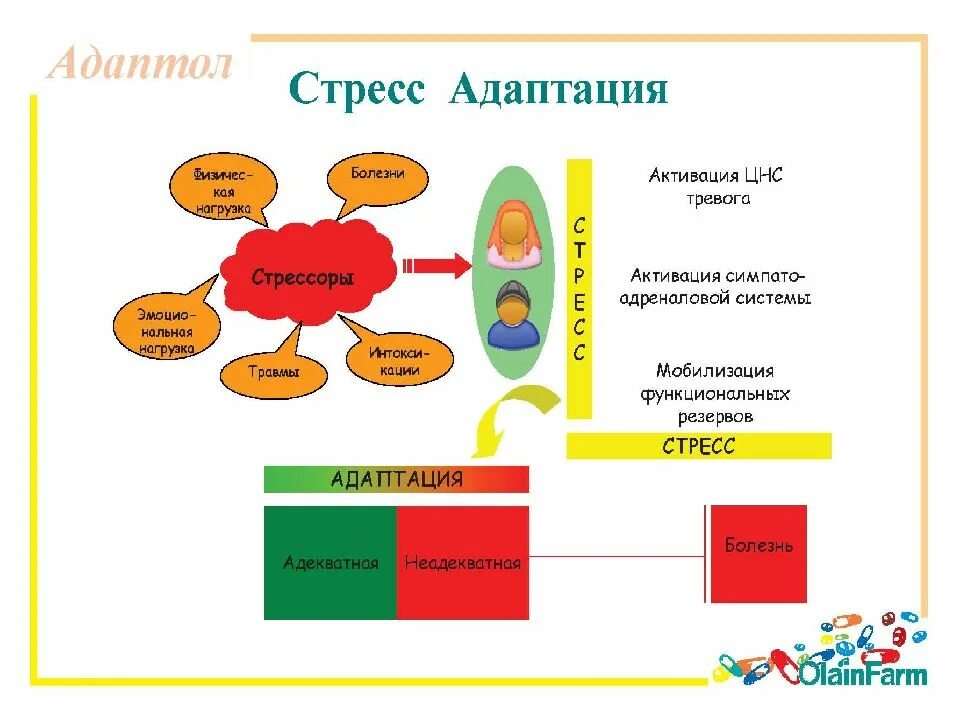 Стресс реакция адаптации. Болезни адаптации. Адаптация к стрессу. Стресс как адаптация. Стадия адаптации стресса.