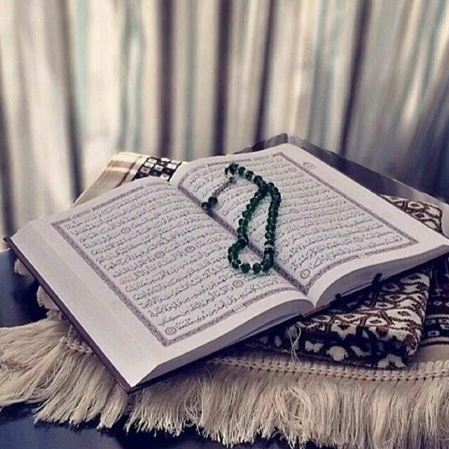 Читаем коран медленно. Коран Маджид.