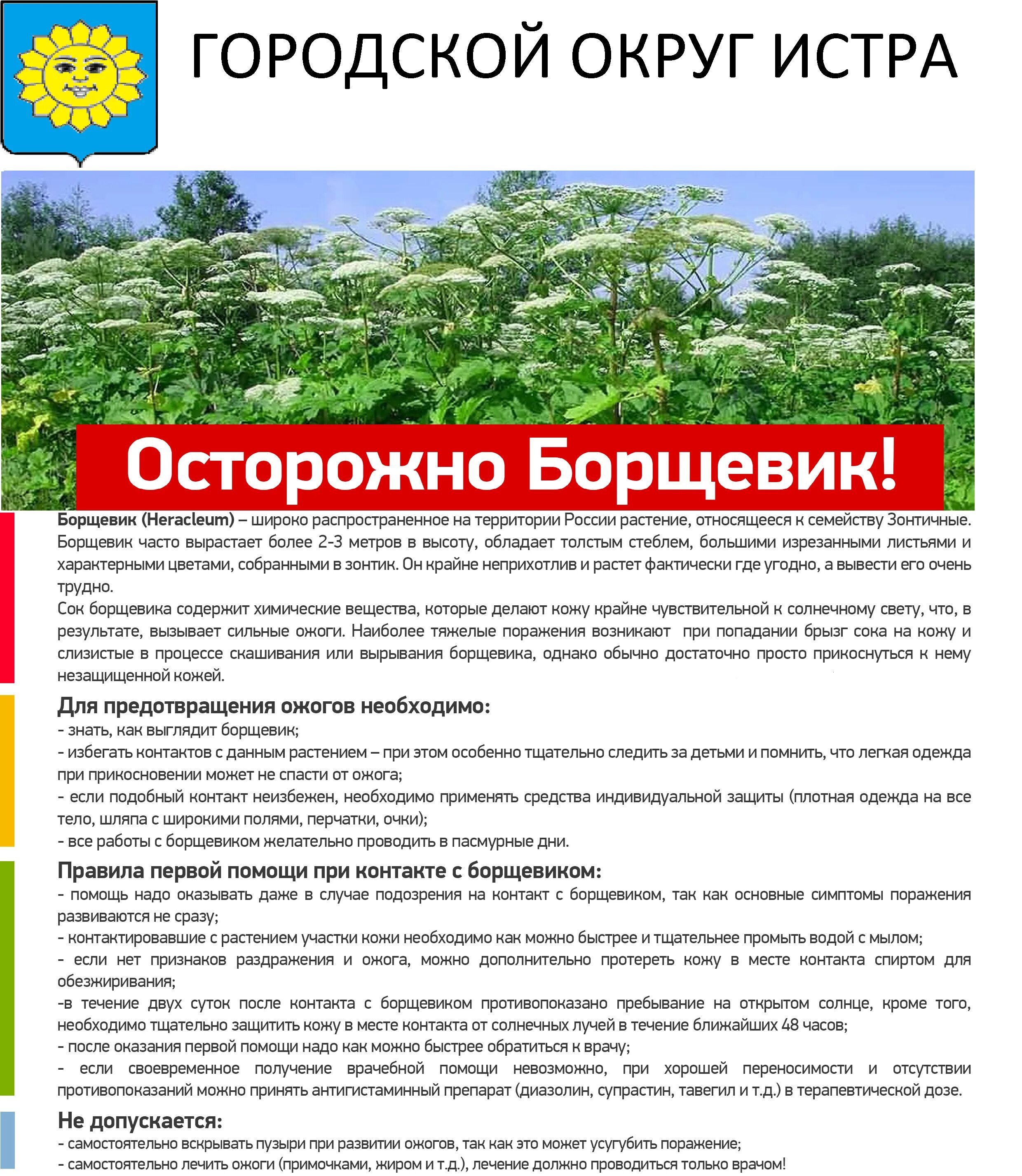 Чем намазать ожог от борщевика. Борщевик сосновского ожоги. Чем намазать ожог от борщевика. Борщевик сосновского ожоги. Ядовитые растения.