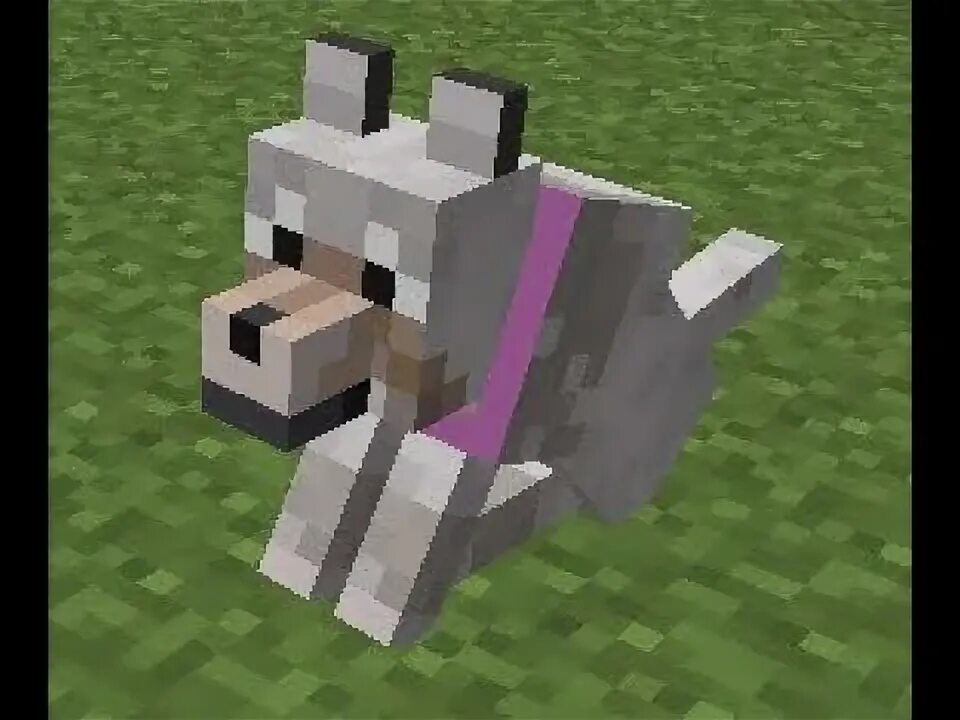 Как выглядит minecraft собака Wolf Playz27 YouTube