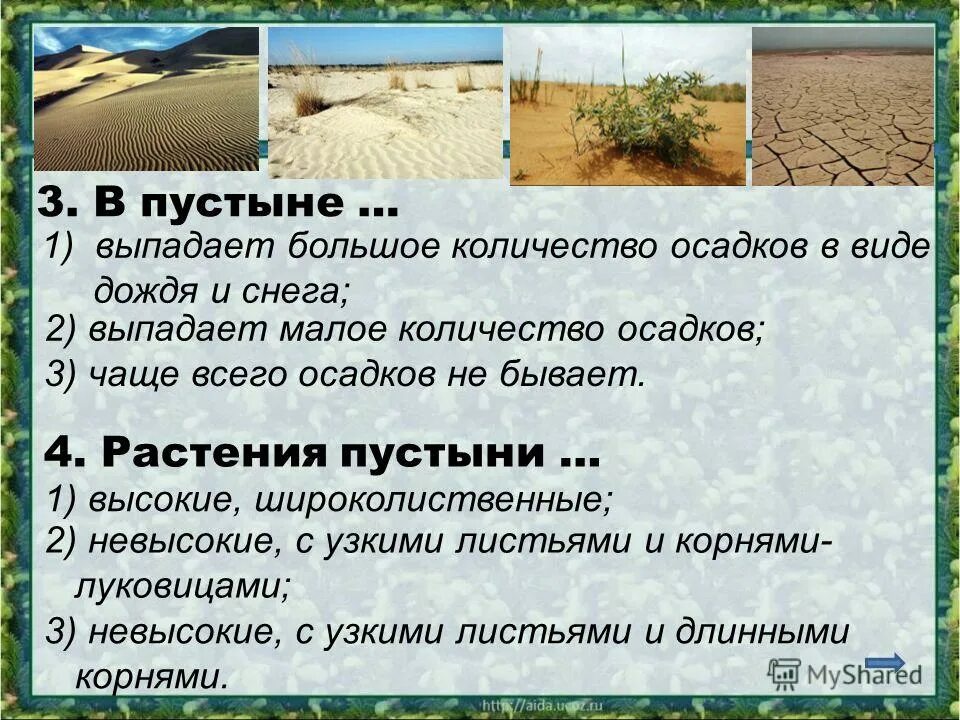 Природная зона пустыня растения. Отличительная черта растений пустыни. Пустыни России осадки. Пустныиколичество осадков. Характеристика растительности пустыни.