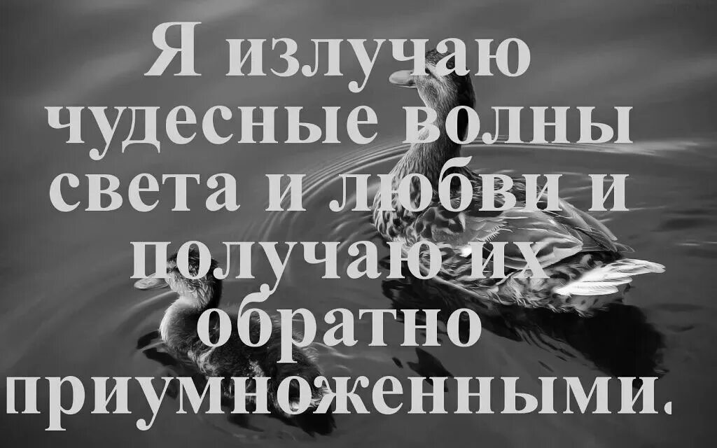 Аффирмация на привлечение мужчины. Аффирмация. Аффирмации на любовь. Аффирмации на счастье и любовь. Аффирмация на семью и любовь.