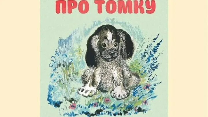 Иллюстрации Чарушина Томка. Чарушин про Томку иллюстрации. Собака Томка Чарушин. Томка читательского дневника