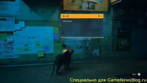 Когда вышла стрей