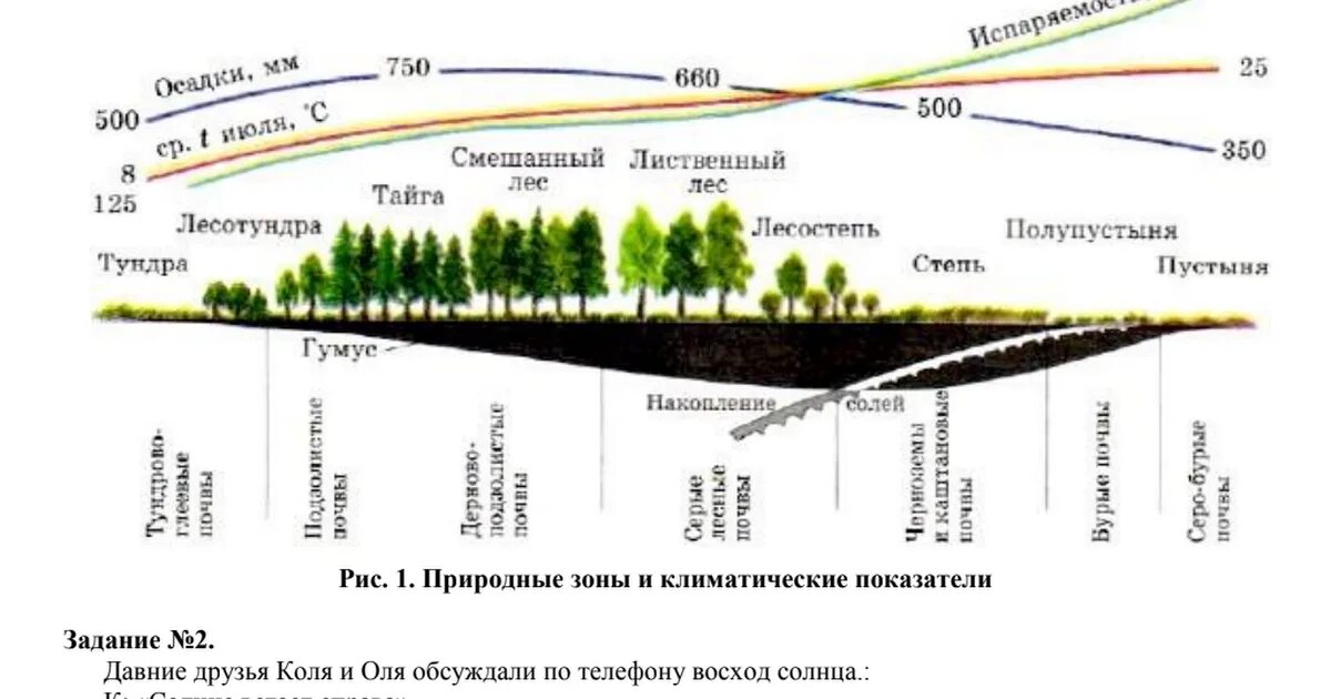 Зональные типы почв с севера на Юг. Закономерности распространения типов почв. Основные типы почв России зональность таблица. Типы почв России с севера на Юг. Порядок почв с севера на юг