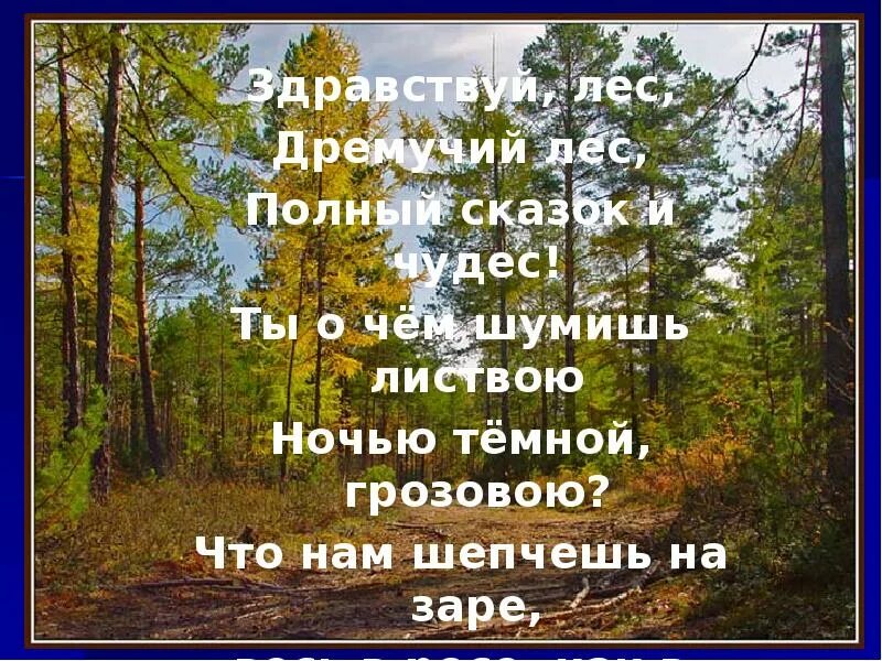 Стихотворение про лес. Стих про лес короткие. Стихи о лесах. Здравствуй лес дремучий лес полный сказок и чудес.