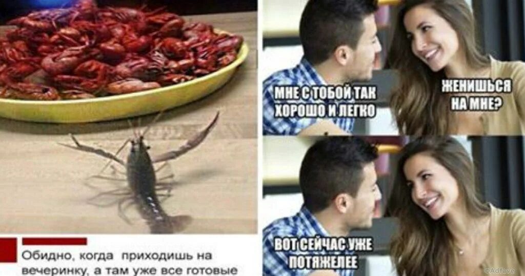 Ответ что нибудь обидное. Ответ что нибудь обидное