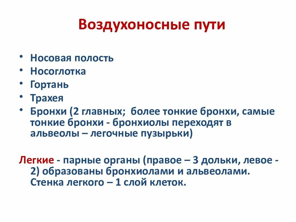 Значение воздухоносных путей. Воздухоносные пути. перечислите воздухоносные пути. воздухоносные дыхательные пути. перечислите функции воздухоносных путей.