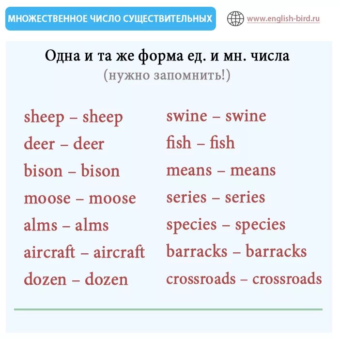 Key множественное число. Body множественное число в английском языке. Форма множественного числа существительного в английском. Английские слова существительные во множественном числе. Неправильные множественные существительные в английском языке.