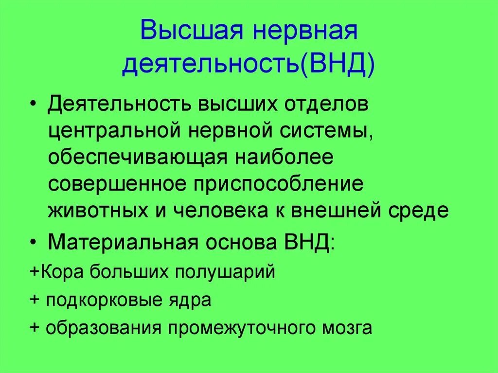 Высшая нервная деятельность человека презентация