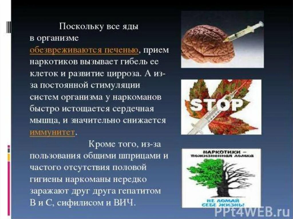 Влияние ядов на организм человека презентация. Влияние наркотиков на печень. Яд который не обнаруживается в организме человека. В печени обезвреживаются вещества