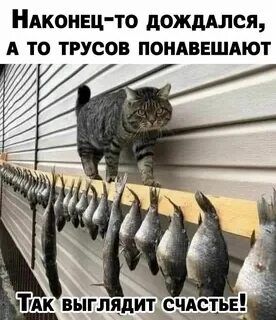 Работа трусами